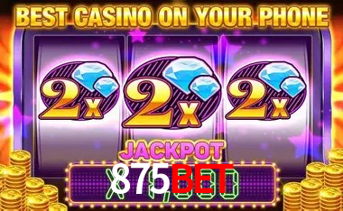 Security Systems 875Bet